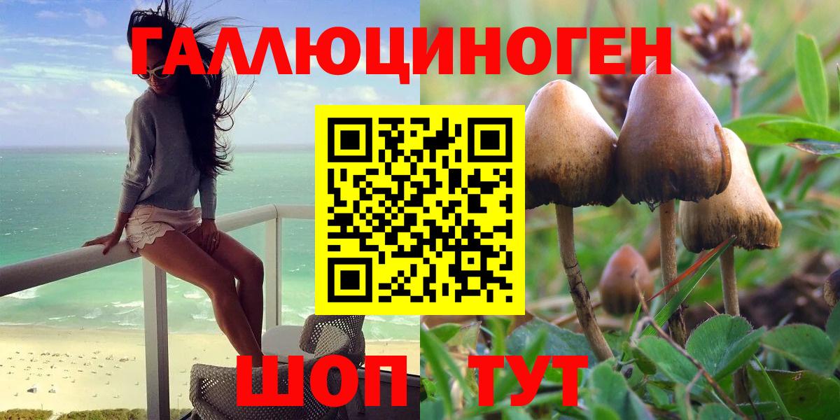 цена   Галлюциногенные грибы MAGIC MUSHROOMS  Вход с VPN  Фролово 
