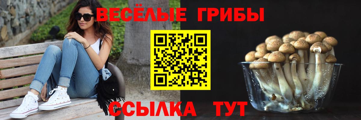 Псилоцибиновые грибы Psilocybe Фролово